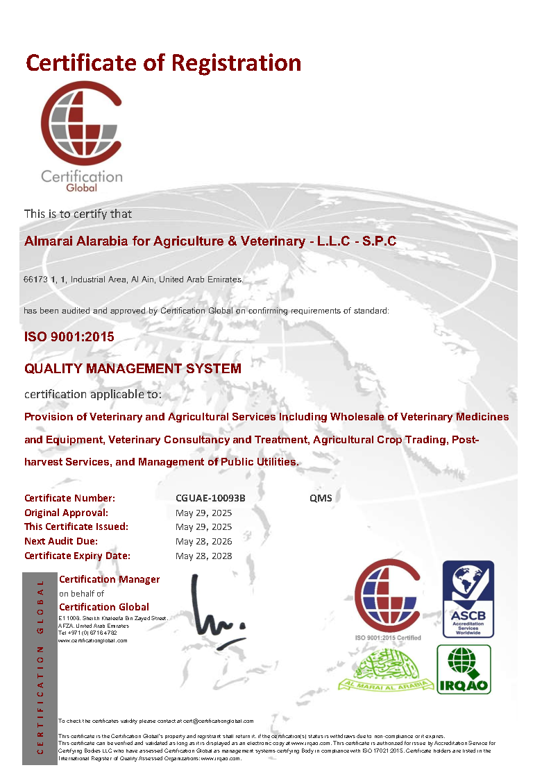 ISO 9001
